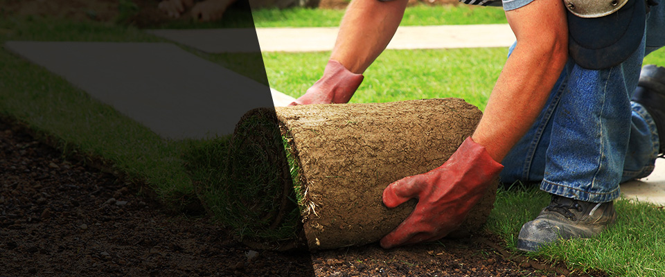Ambler Landscapers
